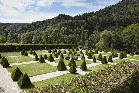 Garten mit getrimmten Büschen, im Hintergrund Wald