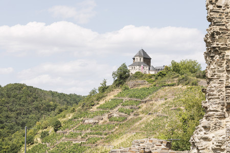 Weinberge mit Matthiaskapelle auf dem Berg