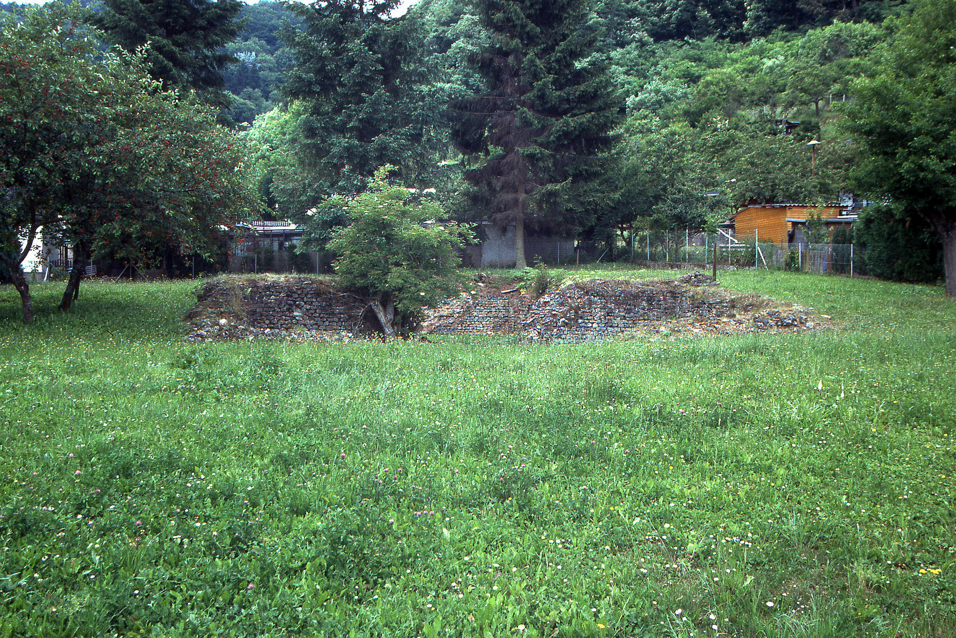 Wiese, im Hintergrund Bäume und Gärten, im Zentrum Mauerreste