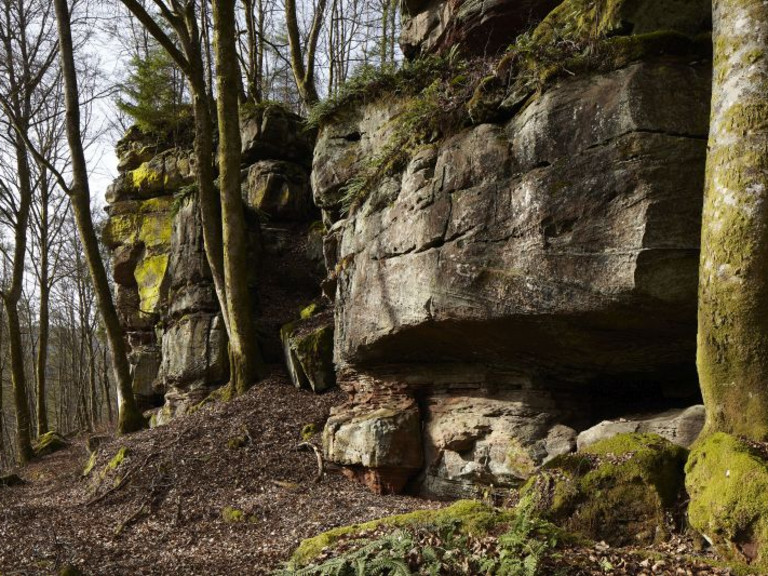 Die Heidelsburg, Geschichte einer keltischen Fliehburg und römischen Höhensiedlung Die Heidelsburg, Geschichte einer keltischen Fliehburg und römischen Höhensiedlung