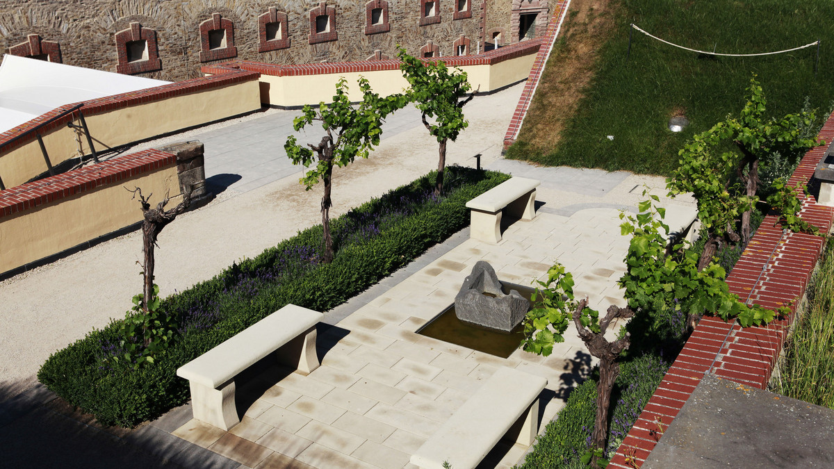 Knackig - saftig - grün-