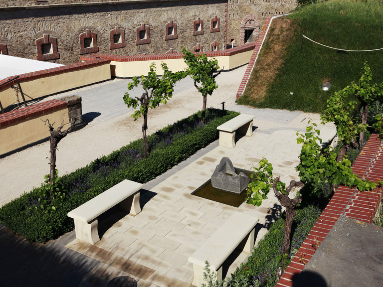 Knackig - saftig - grün